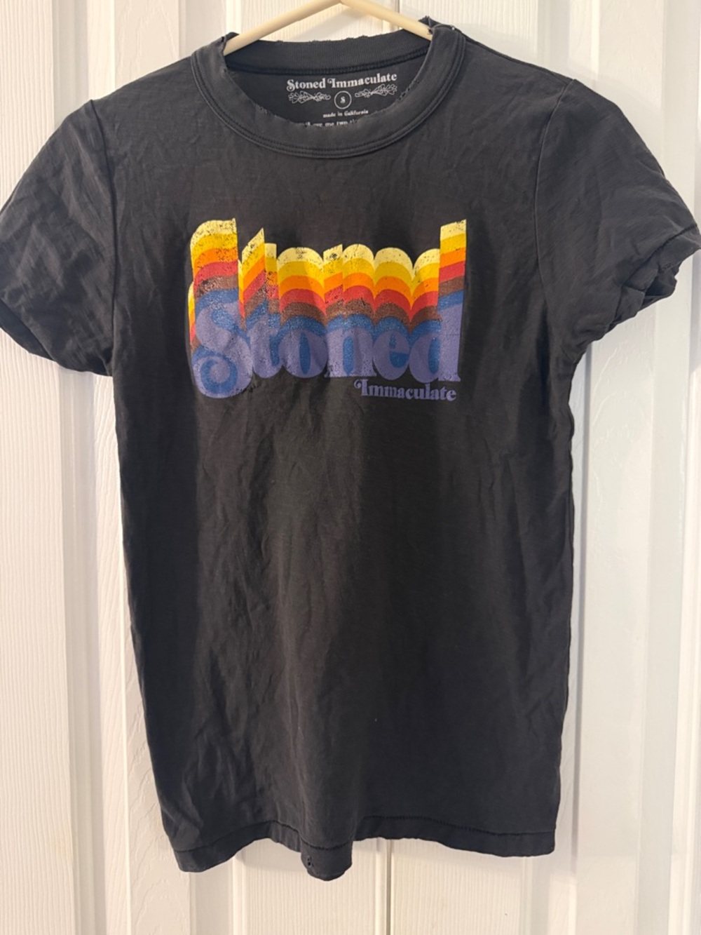 Stoned Immaculate Black Graphic Tee with Rainbow Logo small
